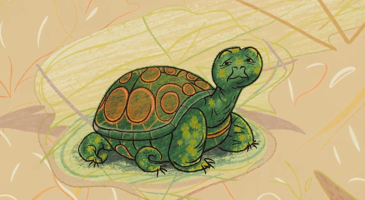 Aïeule la tortue